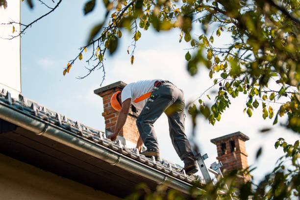 Best Roof Repair Specialists  in Millersport, OH