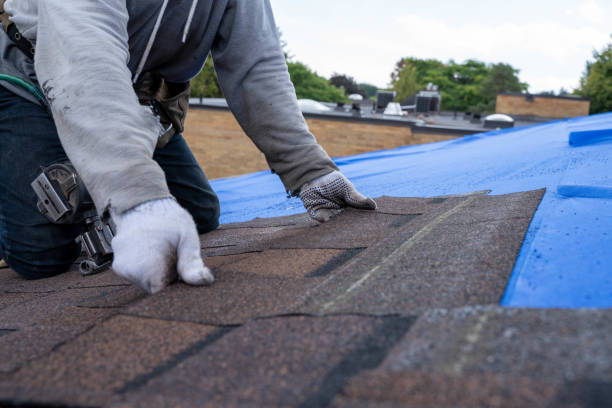 Best Roof Repair Services  in Millersport, OH